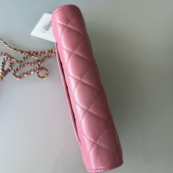 NEW UNBOXED RARE Cloudy pearly goatskin gold hardware iridescent pink - Picture 6 of 14